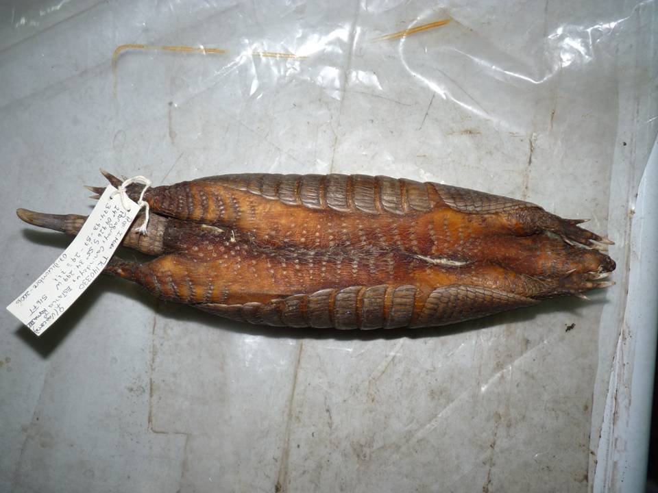 FIGURE 3 FIGURE 3
